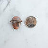 Back side of a Labradorite and Copper Electroformed Skull Ring beside a Canadian Quarter coin.