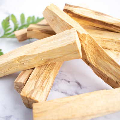 Sticks of Palo Santo are stacked on top of each other, a green plant is in the background.