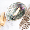 A burning stick of Palo Santo is placed inside an Abalone shell. Other sticks of Palo Santo wood are arranged near the shell along with a feather.